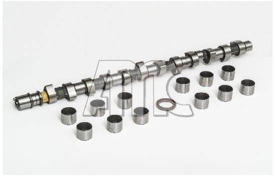 Wilmink Group WG2010545 Camshaft WG2010545: Buy near me in Poland at 2407.PL - Good price!