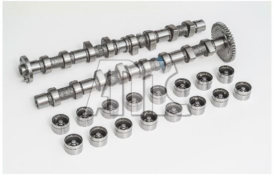 Wilmink Group WG2010546 Camshaft WG2010546: Buy near me in Poland at 2407.PL - Good price!