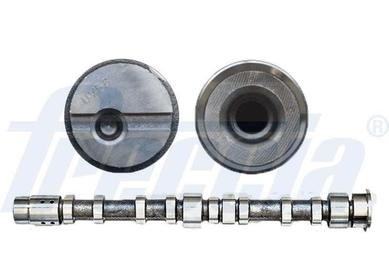 Wilmink Group WG1426576 Camshaft WG1426576: Buy near me in Poland at 2407.PL - Good price!