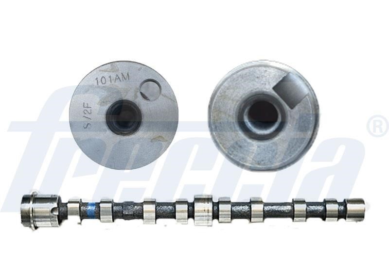 Wilmink Group WG1779076 Camshaft WG1779076: Buy near me in Poland at 2407.PL - Good price!