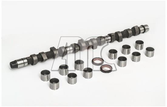 Wilmink Group WG2010601 Camshaft WG2010601: Buy near me in Poland at 2407.PL - Good price!