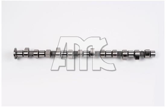 Wilmink Group WG1011543 Camshaft WG1011543: Buy near me in Poland at 2407.PL - Good price!
