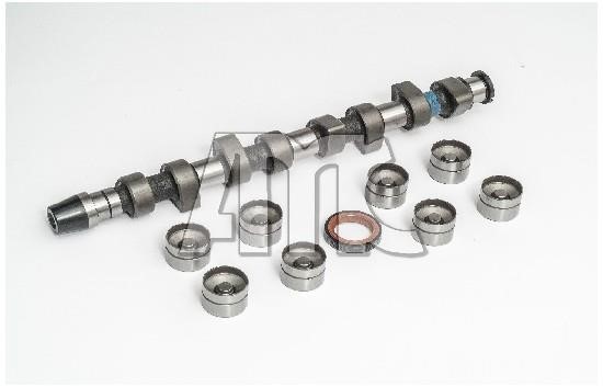 Wilmink Group WG2010616 Camshaft WG2010616: Buy near me in Poland at 2407.PL - Good price!