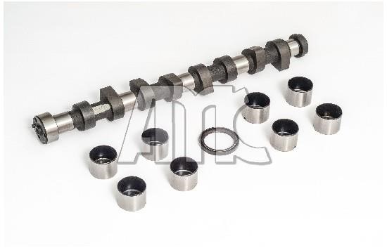 Wilmink Group WG2010617 Camshaft WG2010617: Buy near me in Poland at 2407.PL - Good price!
