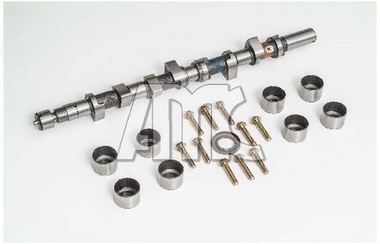 Wilmink Group WG2010558 Camshaft WG2010558: Buy near me in Poland at 2407.PL - Good price!