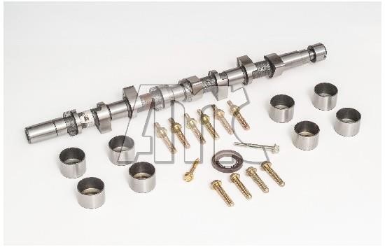 Wilmink Group WG2010620 Camshaft WG2010620: Buy near me in Poland at 2407.PL - Good price!
