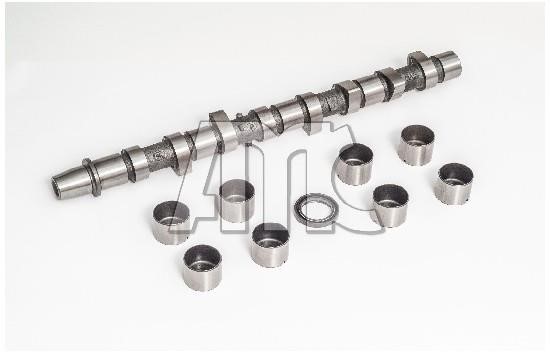 Wilmink Group WG2010621 Camshaft WG2010621: Buy near me in Poland at 2407.PL - Good price!