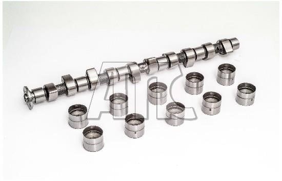 Wilmink Group WG2010541 Camshaft WG2010541: Buy near me in Poland at 2407.PL - Good price!