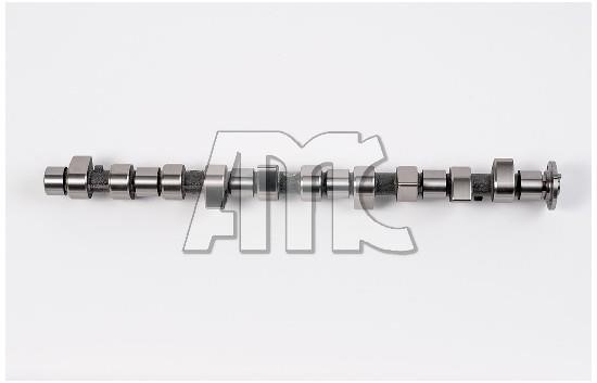 Wilmink Group WG1011542 Camshaft WG1011542: Buy near me in Poland at 2407.PL - Good price!