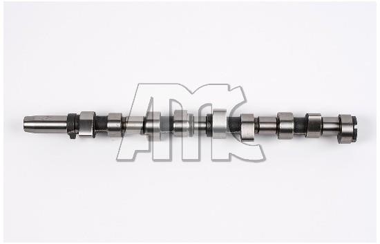 Wilmink Group WG1011536 Camshaft WG1011536: Buy near me in Poland at 2407.PL - Good price!