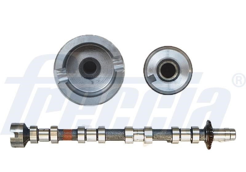 Wilmink Group WG1779104 Camshaft WG1779104: Buy near me at 2407.PL in Poland at an Affordable price!