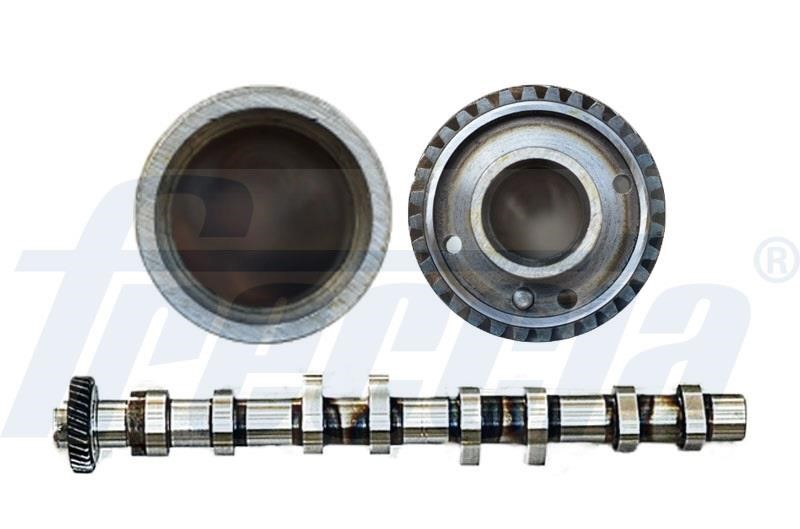 Wilmink Group WG1155356 Camshaft WG1155356: Buy near me in Poland at 2407.PL - Good price!