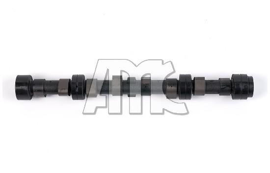 Wilmink Group WG1011537 Camshaft WG1011537: Buy near me in Poland at 2407.PL - Good price!