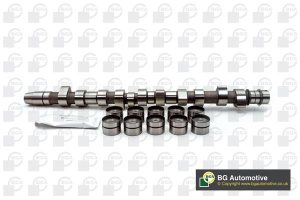 Wilmink Group WG1490473 Camshaft WG1490473: Buy near me in Poland at 2407.PL - Good price!