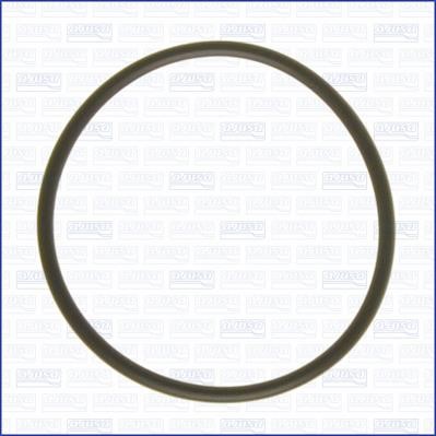 Wilmink Group WG2081022 Gasket, vacuum pump WG2081022: Buy near me in Poland at 2407.PL - Good price!