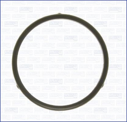 Wilmink Group WG2074488 Termostat gasket WG2074488: Buy near me in Poland at 2407.PL - Good price!