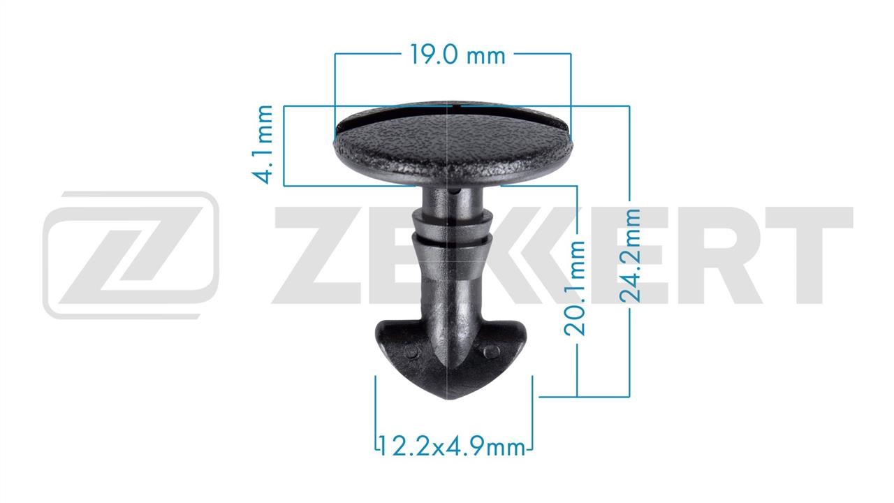 Zekkert BE-3630 Clip, trim/protective strip BE3630: Buy near me in Poland at 2407.PL - Good price!