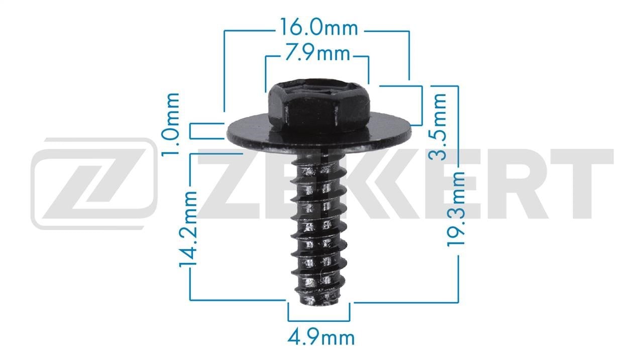 Zekkert BE-3577 Clip, trim/protective strip BE3577: Buy near me at 2407.PL in Poland at an Affordable price!