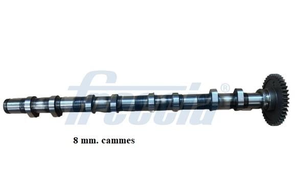 Wilmink Group WG1909829 Camshaft WG1909829: Buy near me in Poland at 2407.PL - Good price!