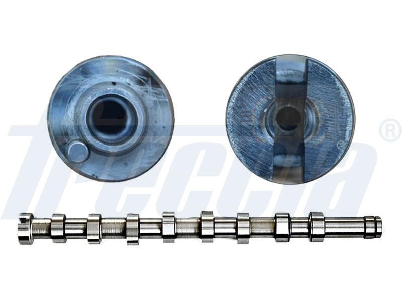 Wilmink Group WG1779067 Camshaft WG1779067: Buy near me in Poland at 2407.PL - Good price!