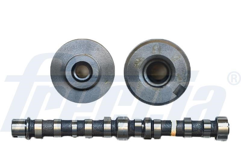 Wilmink Group WG1779065 Camshaft WG1779065: Buy near me in Poland at 2407.PL - Good price!