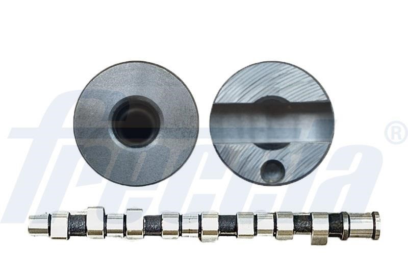 Wilmink Group WG1779089 Camshaft WG1779089: Buy near me in Poland at 2407.PL - Good price!