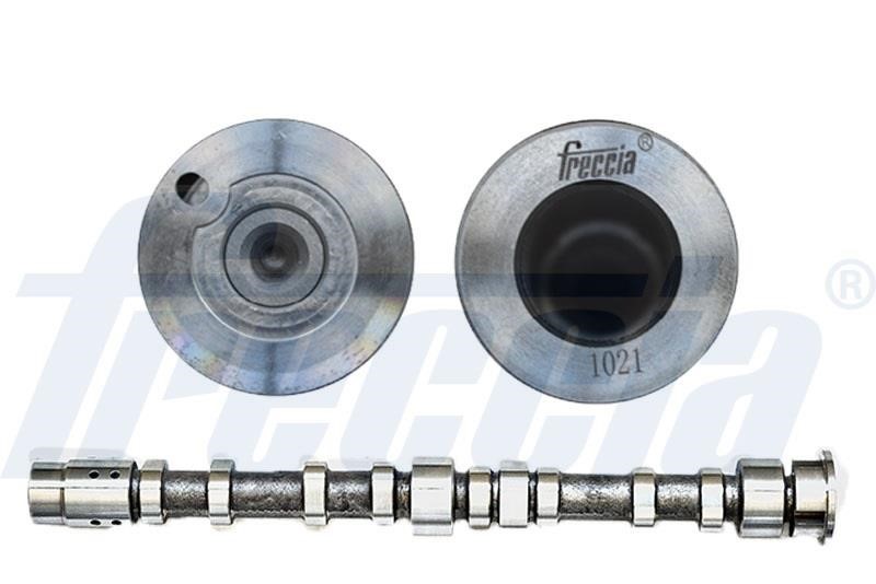 Wilmink Group WG1814738 Camshaft WG1814738: Buy near me in Poland at 2407.PL - Good price!