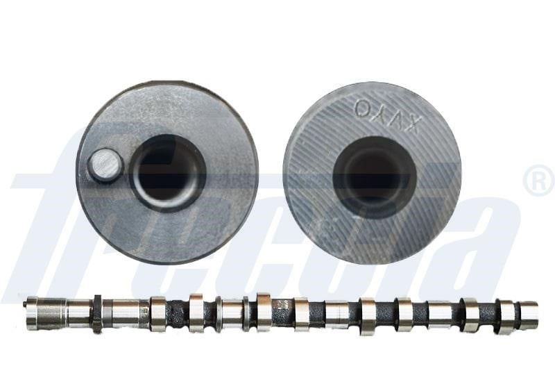 Wilmink Group WG1909812 Camshaft WG1909812: Buy near me in Poland at 2407.PL - Good price!