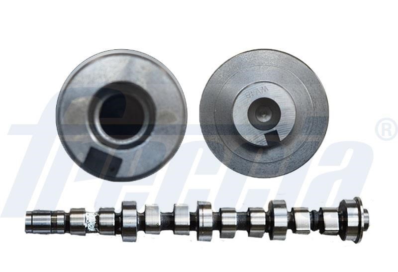 Wilmink Group WG1779100 Camshaft WG1779100: Buy near me in Poland at 2407.PL - Good price!