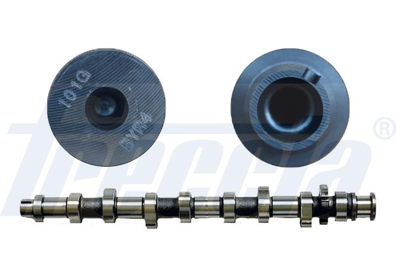 Wilmink Group WG1309197 Camshaft WG1309197: Buy near me in Poland at 2407.PL - Good price!