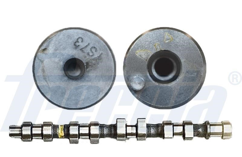 Wilmink Group WG1779079 Camshaft WG1779079: Buy near me in Poland at 2407.PL - Good price!