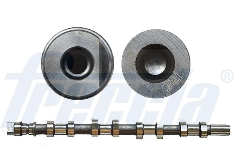 Wilmink Group WG1155381 Camshaft WG1155381: Buy near me in Poland at 2407.PL - Good price!