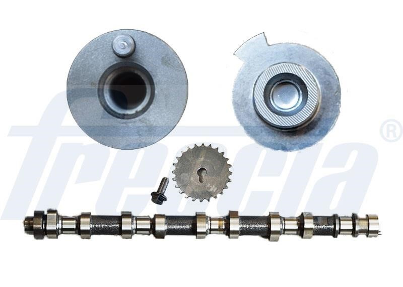 Wilmink Group WG1909814 Camshaft WG1909814: Buy near me in Poland at 2407.PL - Good price!
