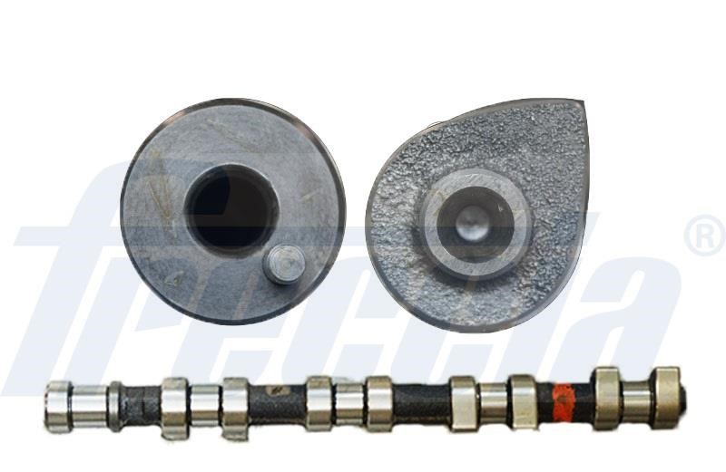 Wilmink Group WG1155387 Camshaft WG1155387: Buy near me in Poland at 2407.PL - Good price!