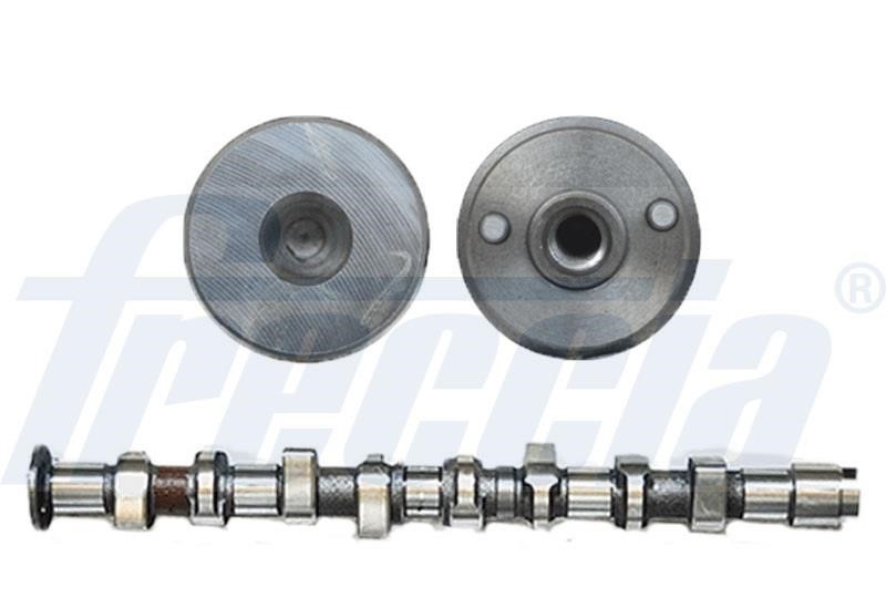 Wilmink Group WG1805165 Camshaft WG1805165: Buy near me in Poland at 2407.PL - Good price!