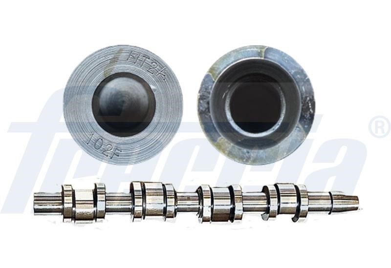 Wilmink Group WG1155395 Camshaft WG1155395: Buy near me in Poland at 2407.PL - Good price!