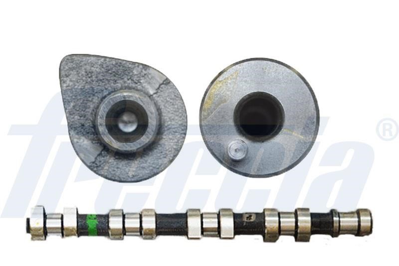 Wilmink Group WG1155388 Camshaft WG1155388: Buy near me in Poland at 2407.PL - Good price!