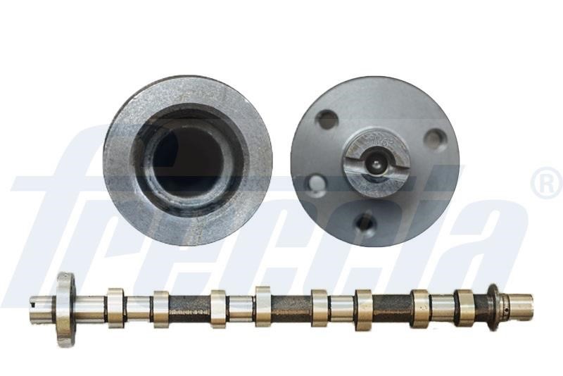 Wilmink Group WG1155405 Camshaft WG1155405: Buy near me in Poland at 2407.PL - Good price!