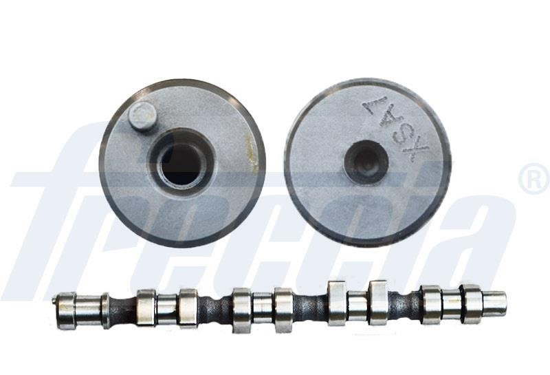 Wilmink Group WG1779078 Camshaft WG1779078: Buy near me in Poland at 2407.PL - Good price!