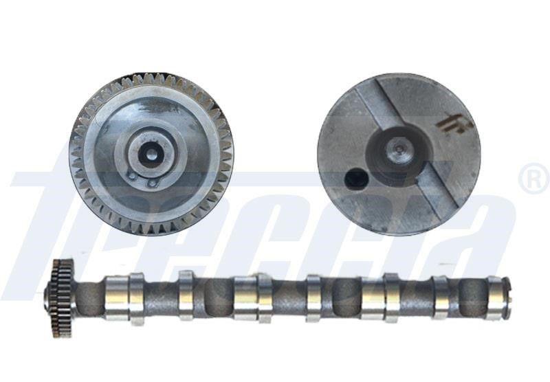 Wilmink Group WG1150115 Camshaft WG1150115: Buy near me in Poland at 2407.PL - Good price!