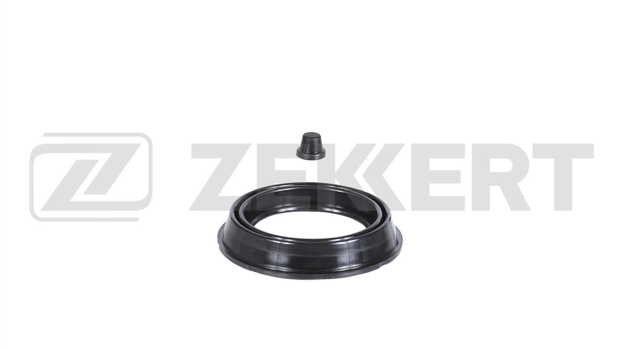 Zekkert BR-1242 Repair Kit, brake caliper BR1242: Buy near me at 2407.PL in Poland at an Affordable price!