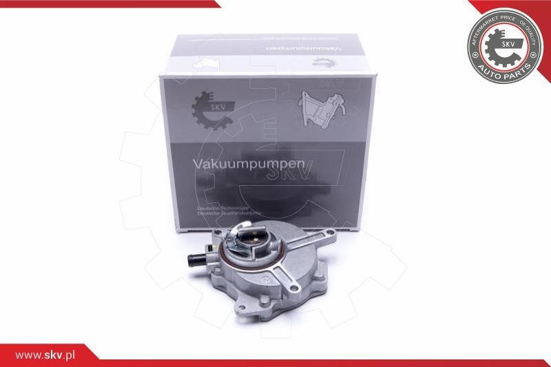 Esen SKV 18SKV031 Vacuum Pump, braking system 18SKV031: Buy near me at 2407.PL in Poland at an Affordable price!