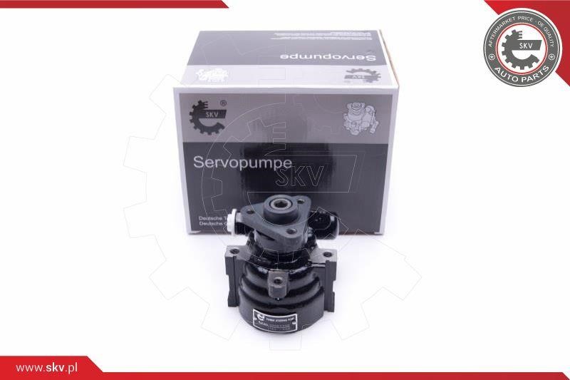 Esen SKV 10SKV302 Hydraulic Pump, steering system 10SKV302: Buy near me at 2407.PL in Poland at an Affordable price!