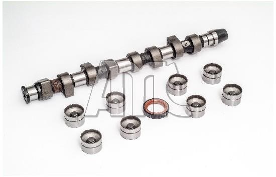 Wilmink Group WG2010615 Camshaft WG2010615: Buy near me in Poland at 2407.PL - Good price!