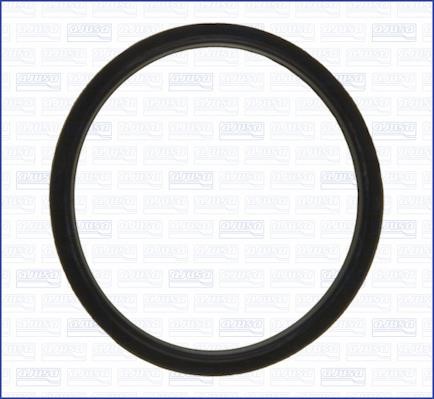Wilmink Group WG2077375 Termostat gasket WG2077375: Buy near me in Poland at 2407.PL - Good price!