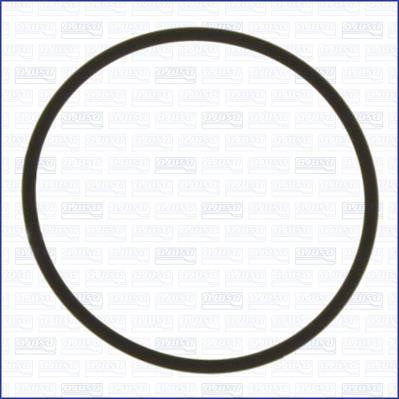 Wilmink Group WG2080980 Gasket, thermostat WG2080980: Buy near me in Poland at 2407.PL - Good price!