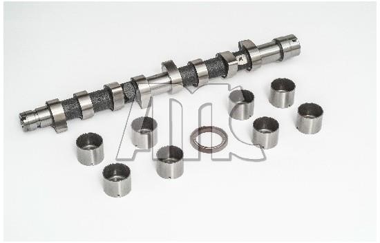 Wilmink Group WG2010610 Camshaft WG2010610: Buy near me in Poland at 2407.PL - Good price!