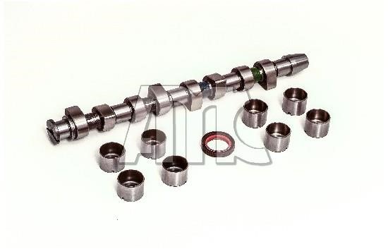 Wilmink Group WG2010536 Camshaft WG2010536: Buy near me in Poland at 2407.PL - Good price!