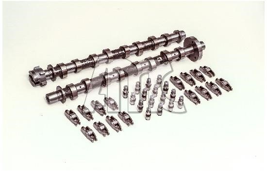 Wilmink Group WG2010559 Camshaft WG2010559: Buy near me in Poland at 2407.PL - Good price!