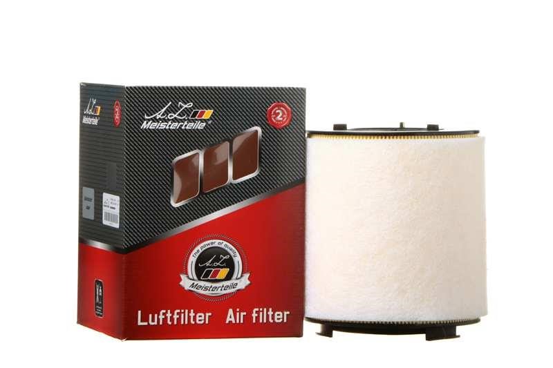 A.Z. Meisterteile AZMT-41-030-1137 Air filter AZMT410301137: Buy near me in Poland at 2407.PL - Good price!